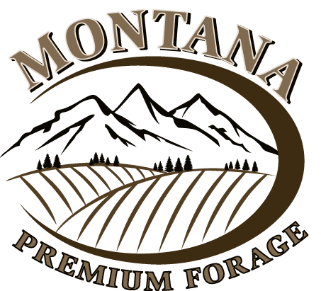 Montana Premium Forage