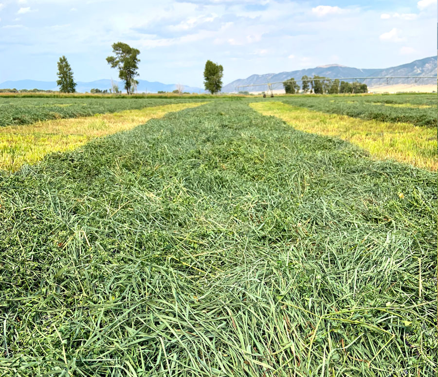 Alfalfa Orchard Pellets
